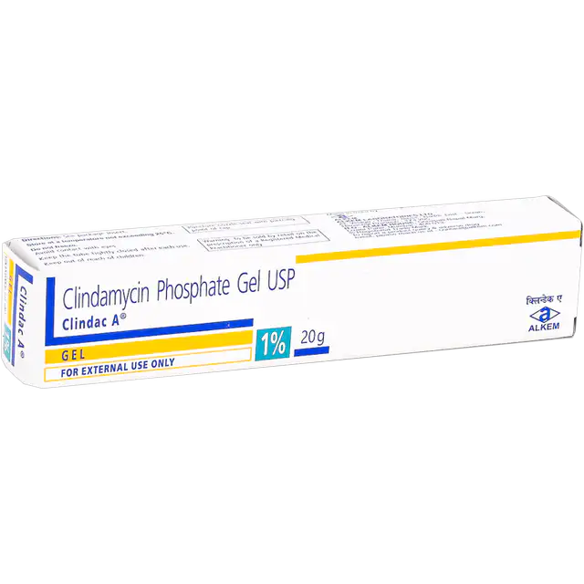 クリンダック-A 1%ゲルの商品画像 2